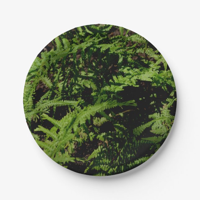 Forest Floor Ferns Paper Plates (Front)