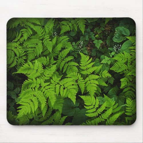 Forest Floor Mousepad