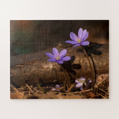 Forest flowers jigsaw puzzle