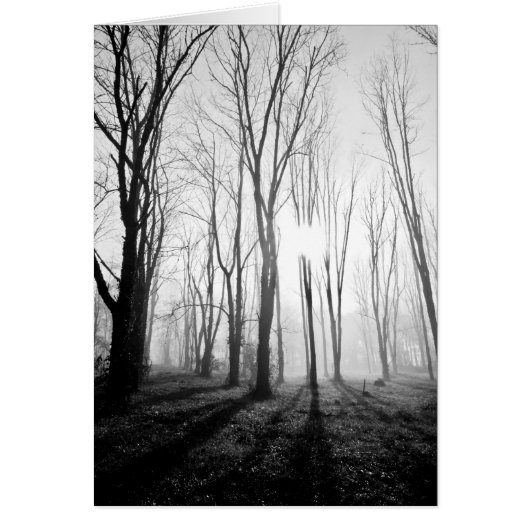 Forest Fog Cards (Front)