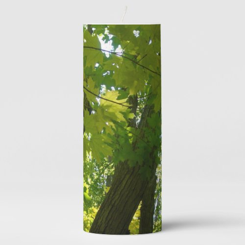 Forest foliage of green leaves n tree trunks pillar candle