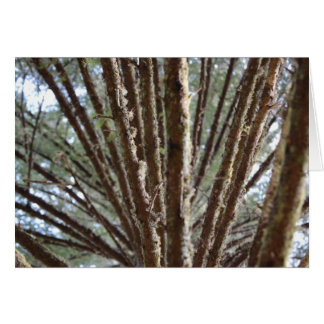Forest for the trees cards