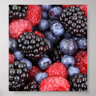 Forest Fruit Background Poster