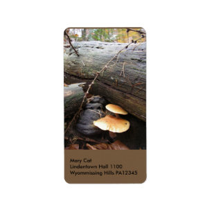 Forest Fungi #3 Label