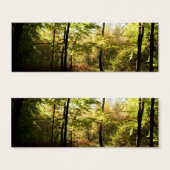 Forest glade (Front & Back)