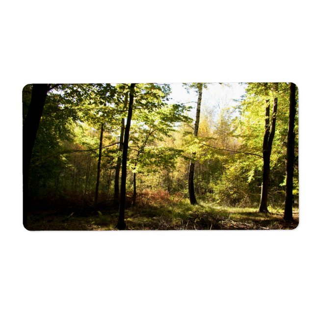 Forest glade label (Front)