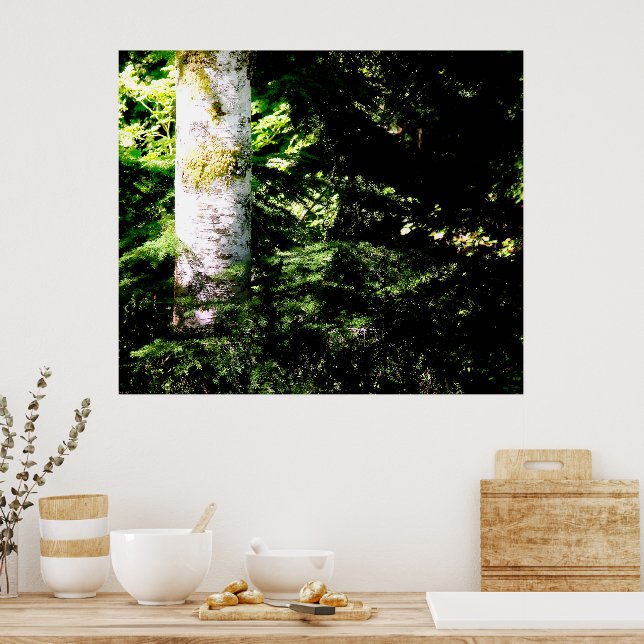 Forest Glow Poster Print (Kitchen)