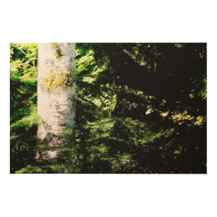 Forest Glow Wood Art Panel