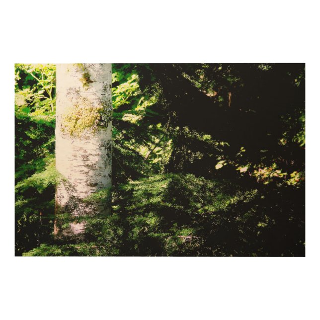 Forest Glow Wood Art Panel (Front)