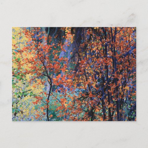 Forest in Autumn Postcard