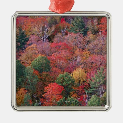 Forest in autumn with fall foliage  Algonquin Metal Ornament