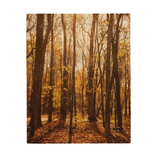 Forest in Autumn Wood Wall Decor