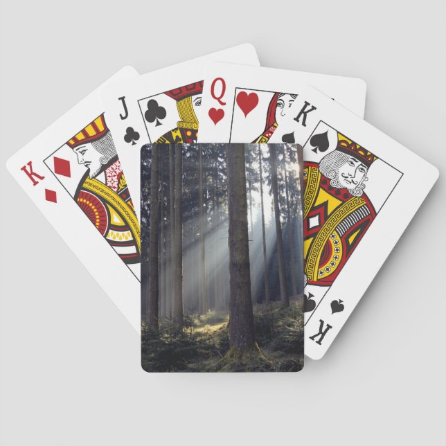 Forest in Bavaria Poker Cards (Back)