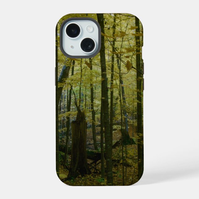 Forest in Fall's Change Iphone Case (Back)