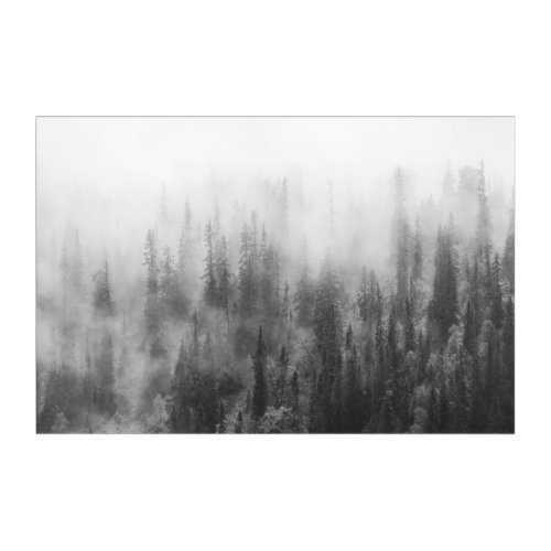 Forest in Fog Acrylic Print