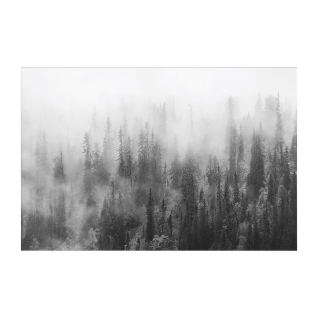 Forest in Fog Acrylic Print (Front)