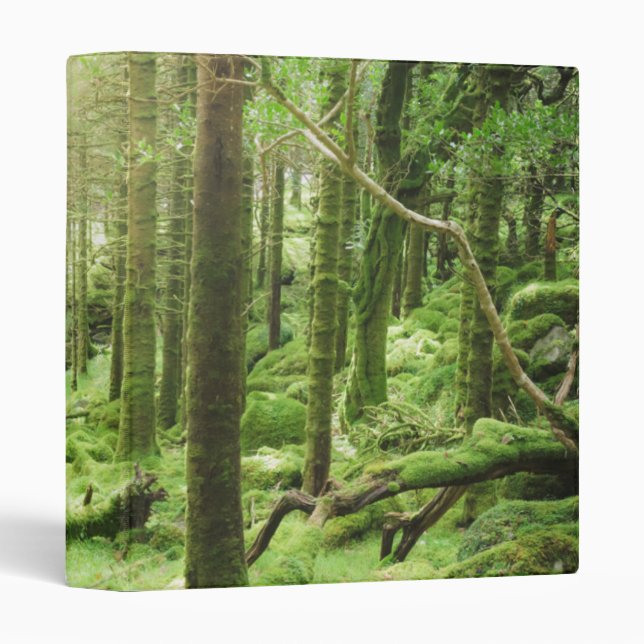 Forest in Killarney National Park | Kerry, Ireland 3 Ring Binder (Front/Spine)
