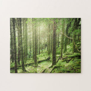Forest in Killarney National Park   Kerry, Ireland Jigsaw Puzzle