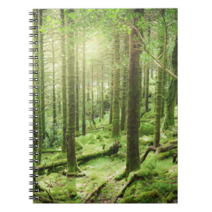 Forest in Killarney National Park Kerry, Ireland Notebook