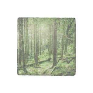 Forest in Killarney National Park   Kerry, Ireland Stone Magnet