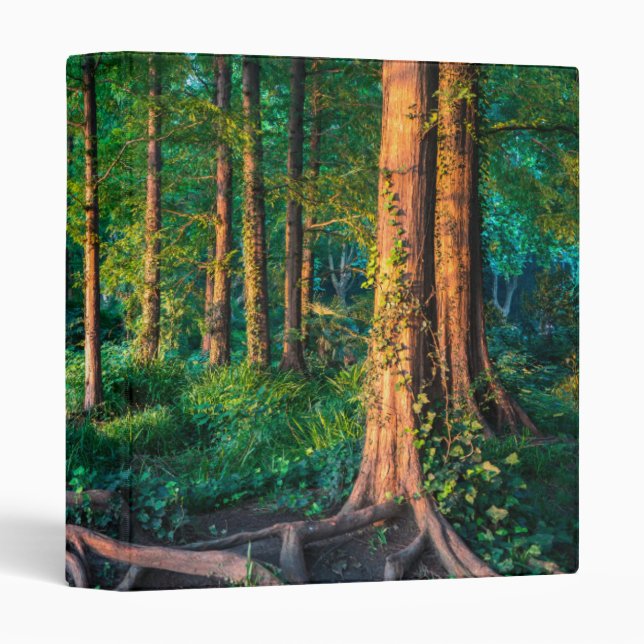 Forest in Summer 3 Ring Binder (Front/Spine)