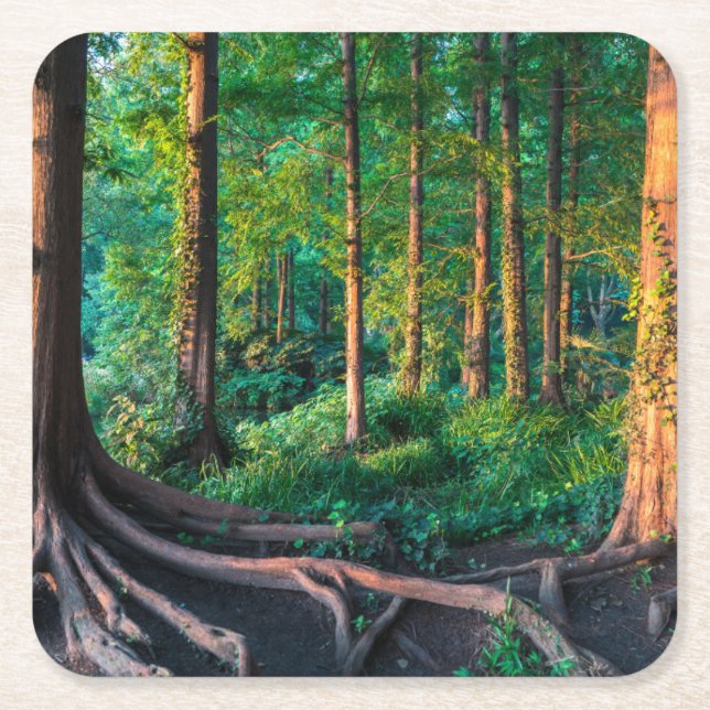 Forest in Summer Square Paper Coaster (Front)