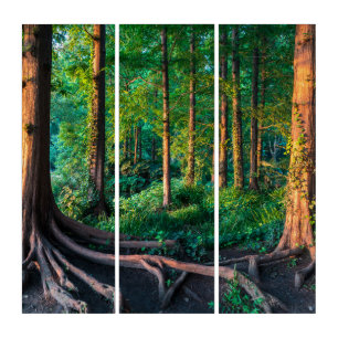 Forest in Summer Triptych