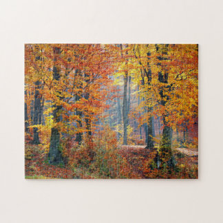 Forest in the Fall Jigsaw Puzzle