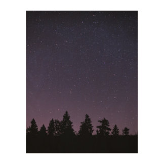 forest in the night wood wall art
