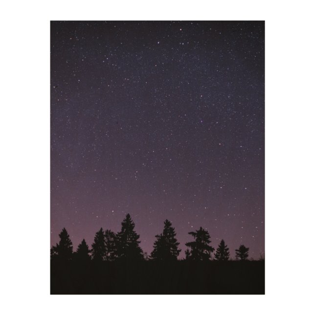 forest in the night wood wall art (Front)