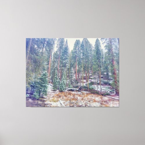 Forest in Winter Canvas Print