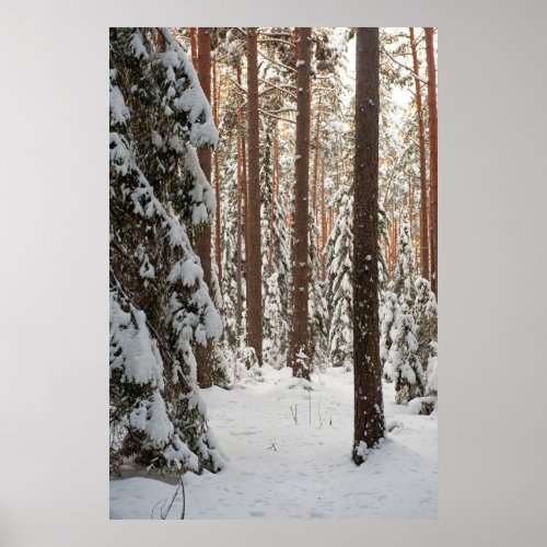 Forest in winter poster
