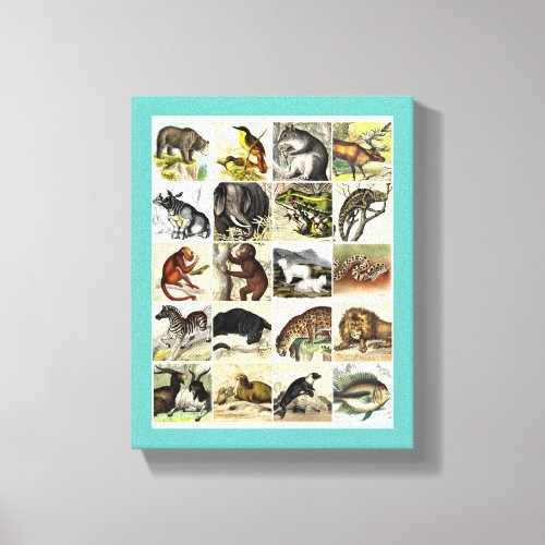 Forest Jungle And Ocean Animal Collage sheet Art Canvas Print