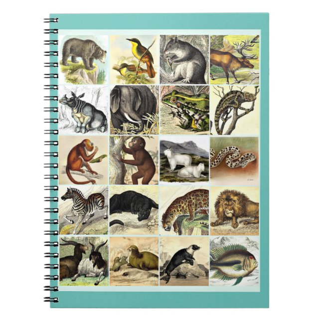 Forest, Jungle And Ocean Animal Collage sheet Art  Notebook (Front)