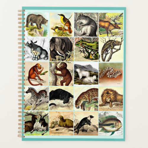 Forest Jungle And Ocean Animal Collage sheet Art  Planner