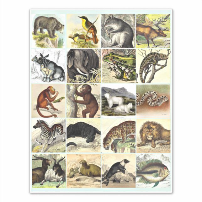 Forest, Jungle And Ocean Animal Collage sheet Art Sticker (Front)