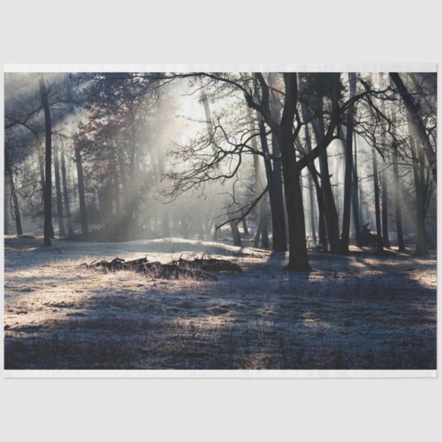 Forest Landscape 23 Decoupage Tissue Paper (Front)