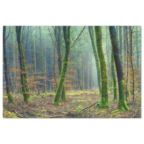 Forest Landscape 25 Decoupage Tissue Paper