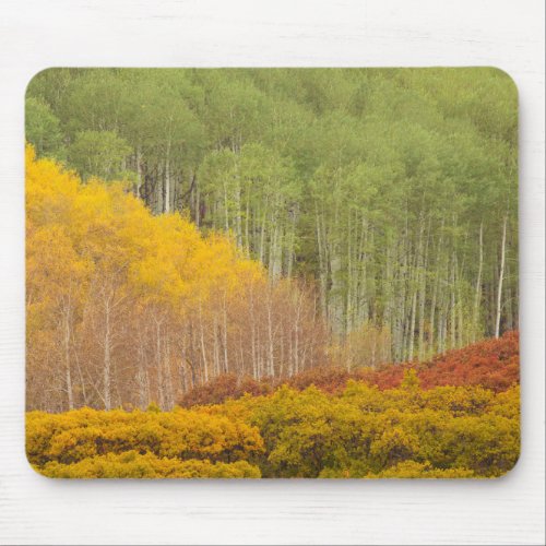 Forest Landscape in Autumn Mouse Pad