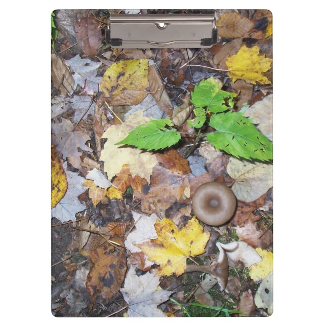 Forest Leaves Clipboard (Front)