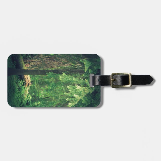 Forest Light Luggage Tag (Front Horizontal)