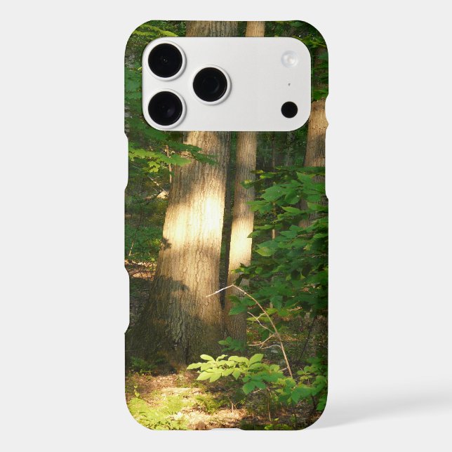 Forest Light-Nature Iphone Case (Back)