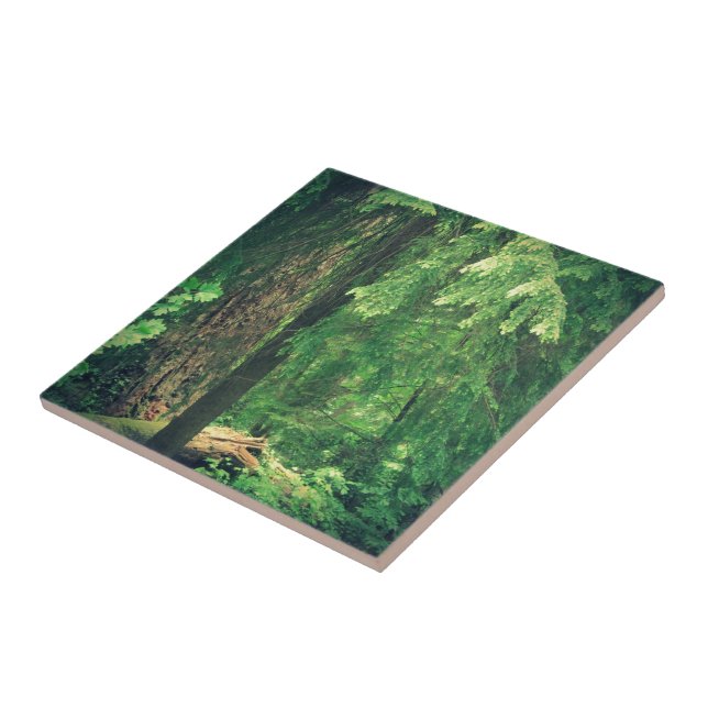 Forest Light Tile (Side)