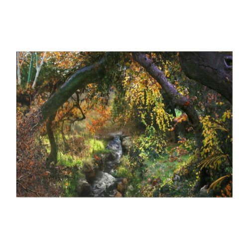 FOREST LITTLE MIDDLE RIVER ACRYLIC PRINT