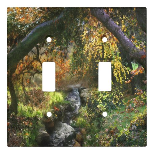 FOREST LITTLE MIDDLE RIVER LIGHT SWITCH COVER