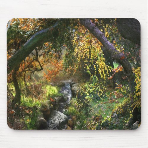 FOREST LITTLE MIDDLE RIVER MOUSE PAD