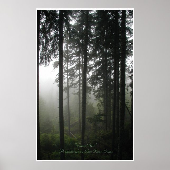 "FOREST MIST" Wilderness Forest Photo Print (Front)