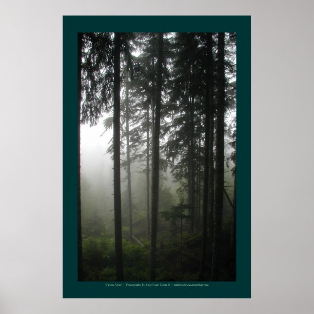 "FOREST MIST" Wilderness Forest Photo Print (Front)