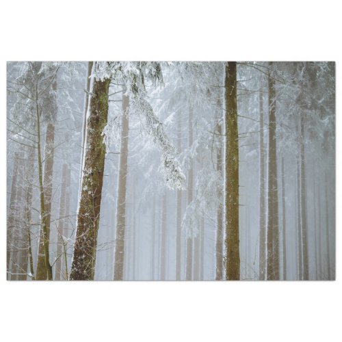 Forest  Misty Winter Decoupage  Tissue Paper