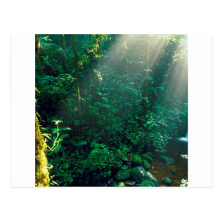 Costa Rica Postcards & Postcard Template Designs | Zazzle